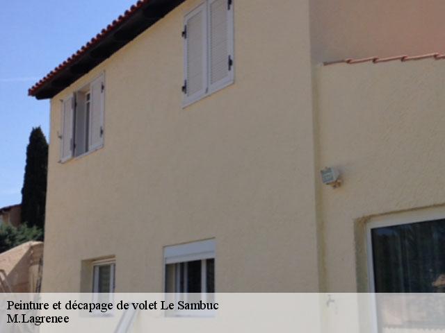 Peinture et décapage de volet le-sambuc-13200 M.Lagrenee