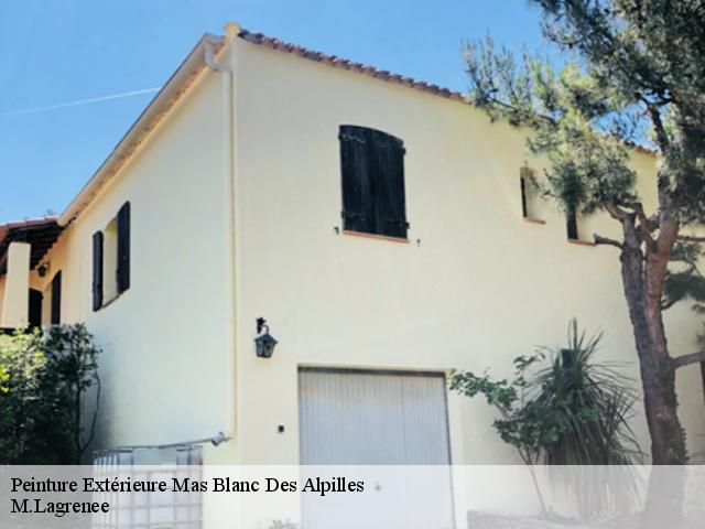 Peinture Extérieure mas-blanc-des-alpilles-13103 M.Lagrenee