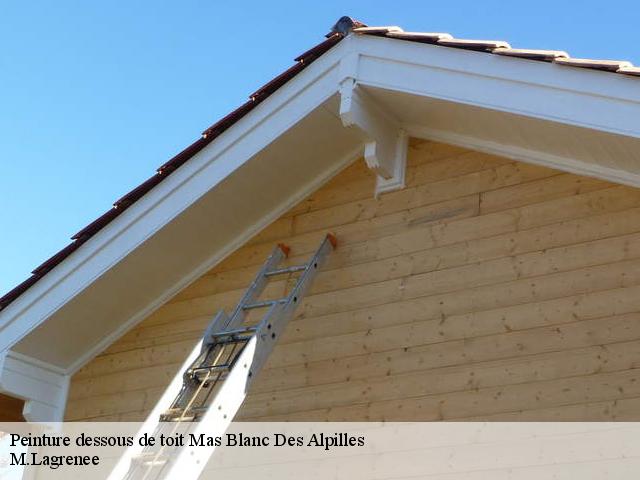 Peinture dessous de toit mas-blanc-des-alpilles-13103 M.Lagrenee