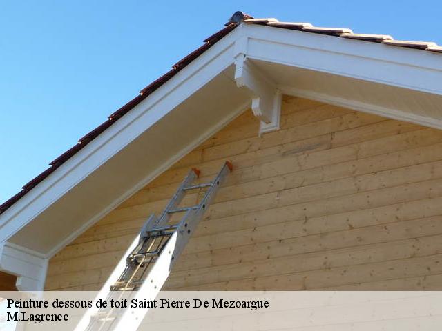 Peinture dessous de toit  saint-pierre-de-mezoargue-13150 M.Lagrenee