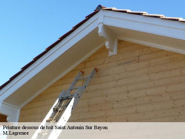 Peinture dessous de toit  saint-antonin-sur-bayon-13100 M.Lagrenee