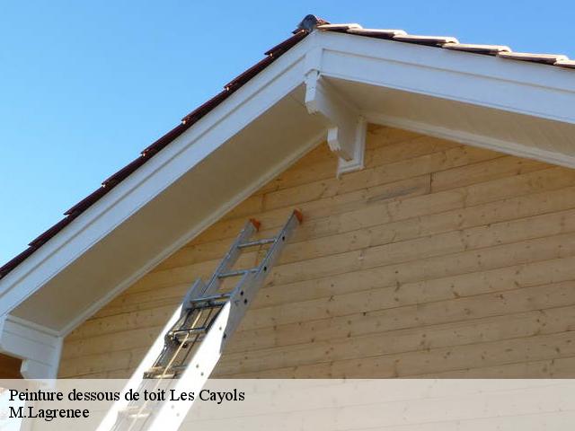 Peinture dessous de toit  les-cayols-13114 M.Lagrenee