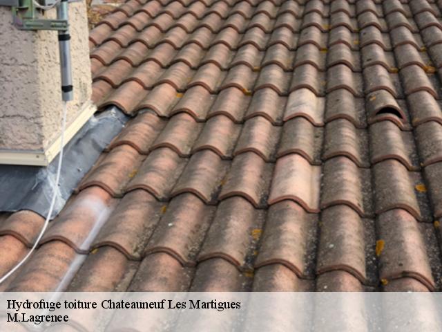 Hydrofuge toiture chateauneuf-les-martigues-13220 M.Lagrenee