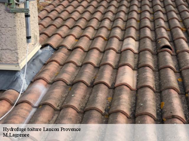 Hydrofuge toiture  lancon-provence-13680 M.Lagrenee