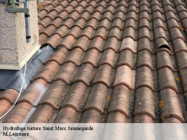 Hydrofuge toiture  saint-marc-jaumegarde-13100 M.Lagrenee