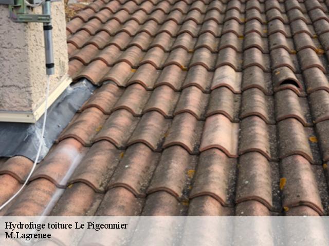 Hydrofuge toiture le-pigeonnier-13740 M.Lagrenee