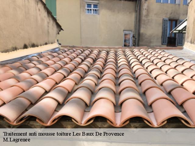 Traitement anti mousse toiture  les-baux-de-provence-13520 M.Lagrenee