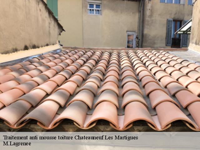 Traitement anti mousse toiture chateauneuf-les-martigues-13220 M.Lagrenee