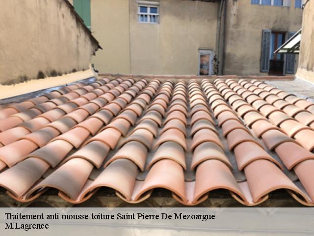 Traitement anti mousse toiture  saint-pierre-de-mezoargue-13150 M.Lagrenee