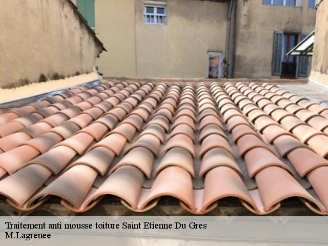 Traitement anti mousse toiture saint-etienne-du-gres-13103 M.Lagrenee