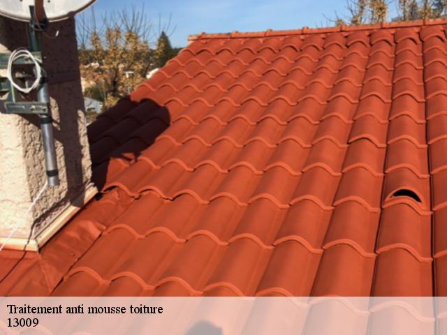 Traitement anti mousse toiture 13009